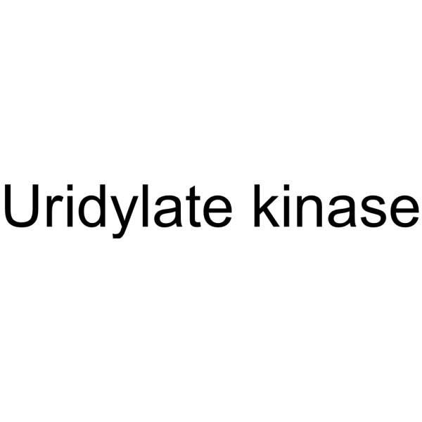 Uridylate kinase 9036-23-1